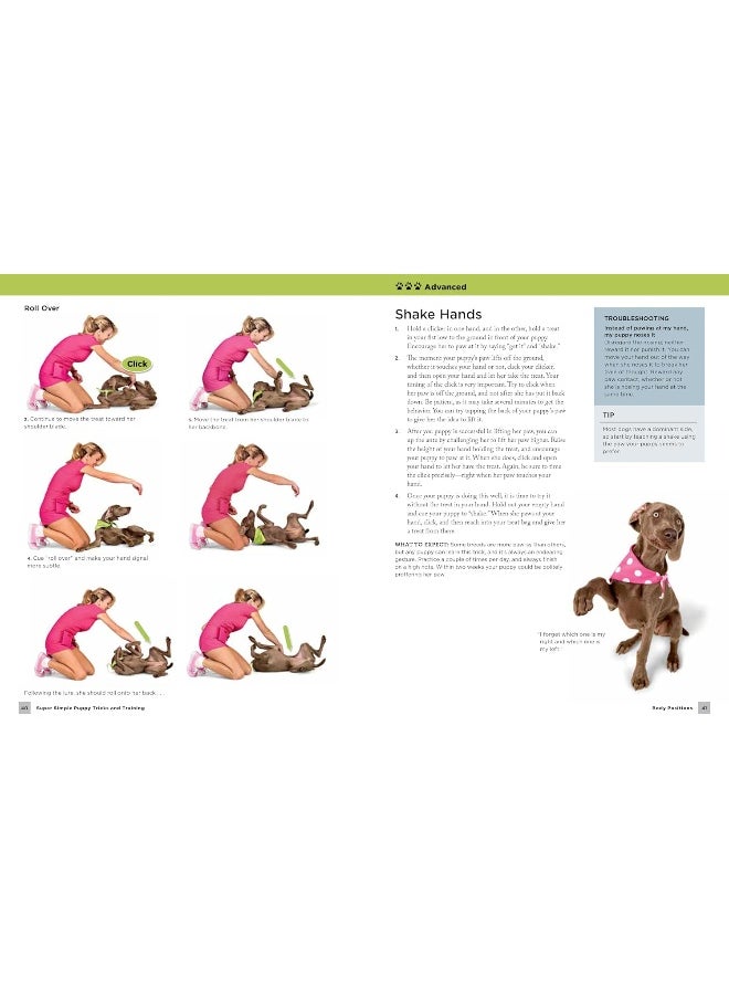 null - Super Simple Puppy Tricks and Training: Fun and Easy Step-by-Step Activities to Engage, Ch - Image 1