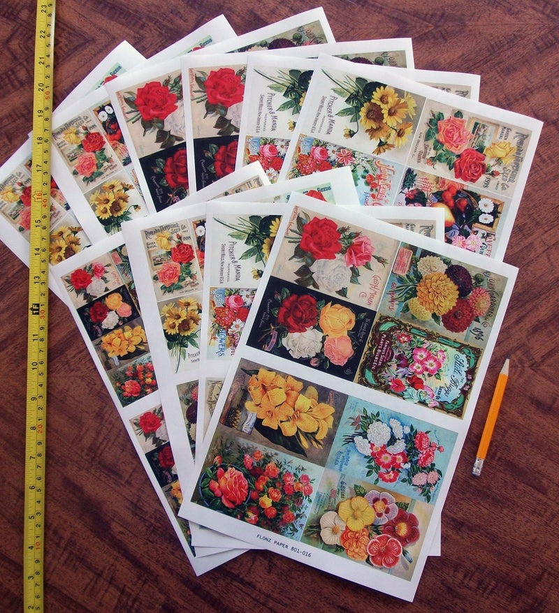 Flonz Decoupage Paper Pack (10sheets A4 / 8"x12") Flowers Roses Garden Wildflowers FLONZ Vintage Paper - Image 2