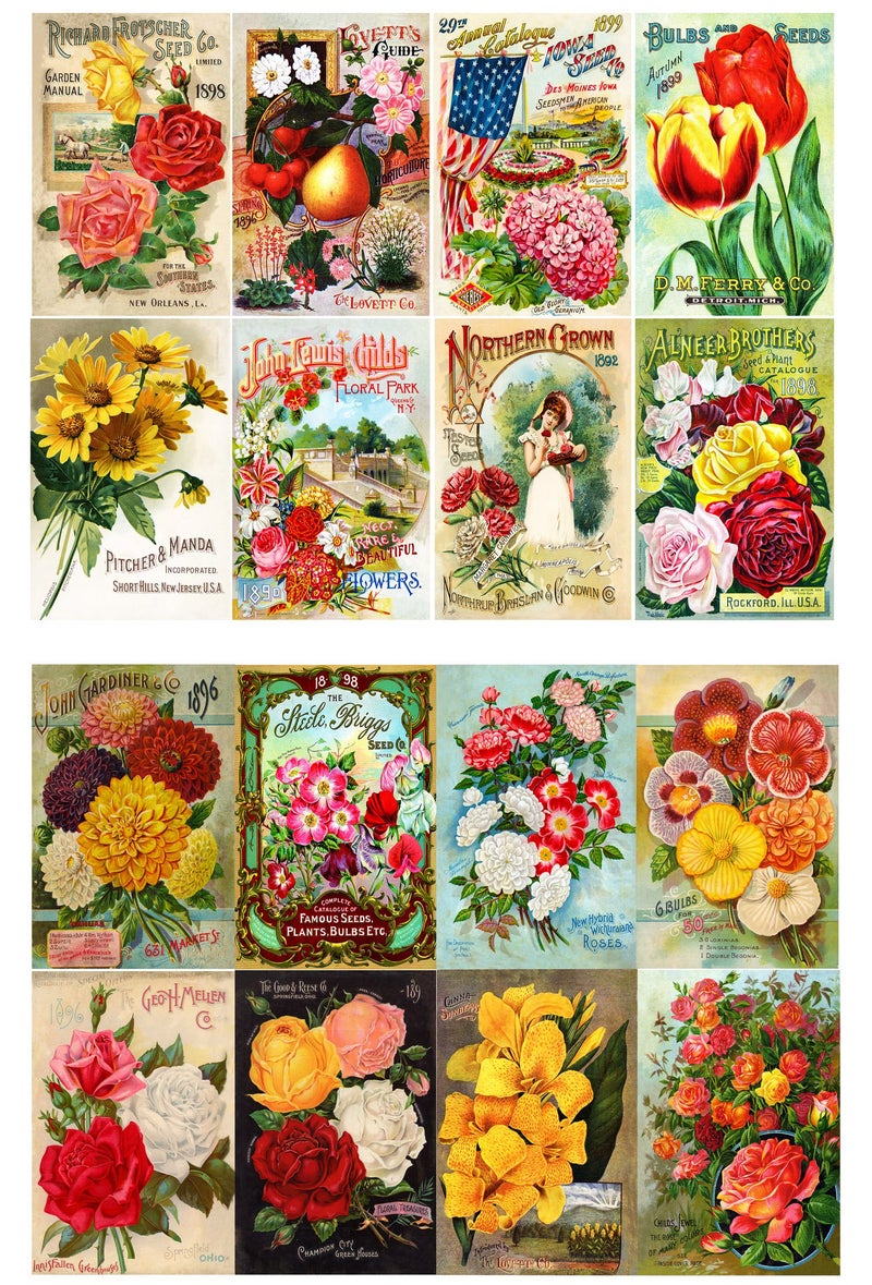 Flonz Decoupage Paper Pack (10sheets A4 / 8"x12") Flowers Roses Garden Wildflowers FLONZ Vintage Paper - Image 1