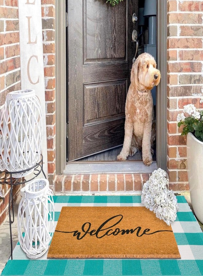 Fallovea Fall Welcome Front Door Mat - 30"x17" Coir Doormat with Anti-Slip PVC Backing, Indoor Outdoor Welcome Easter Mats for Entryway, Porch, Durable Coconut Fiber Mat, Natural Home Decor - Image 4