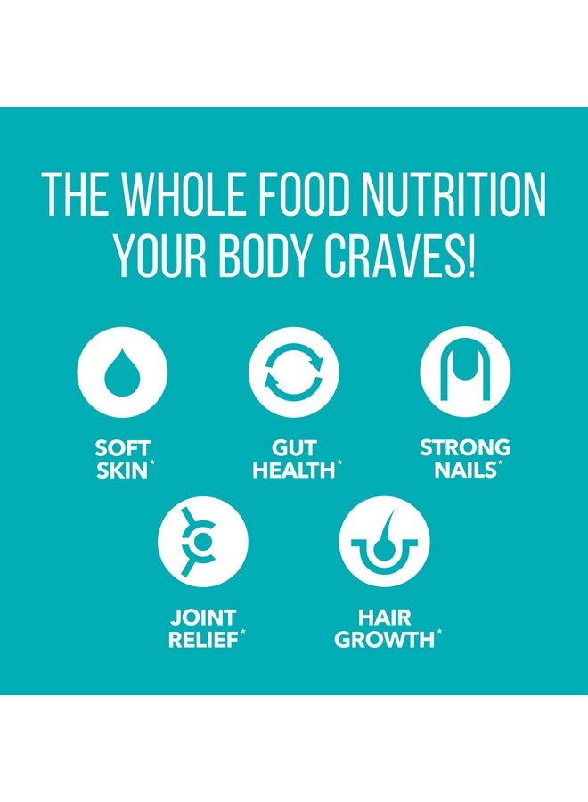 NaturesPlus Natures Plus Collagen Peptides - 0.65 lbs Powder, Pack of 2 - Hair, Skin, Nail & Joint Health, Immune System Support - Non-GMO, Gluten Free - Up to 56 Total Servings - Image 3