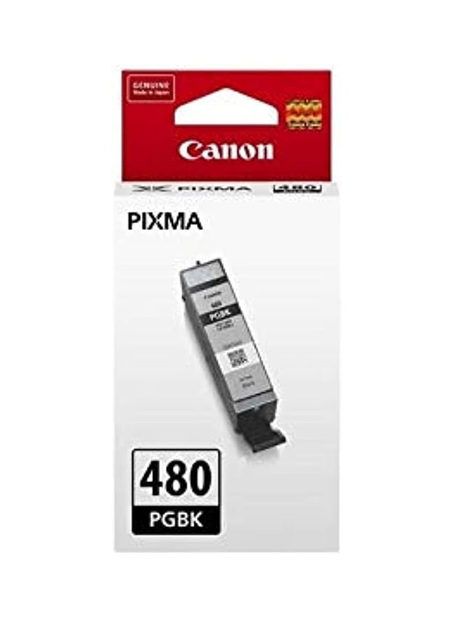 حبر PGI-480 PGBK EMB