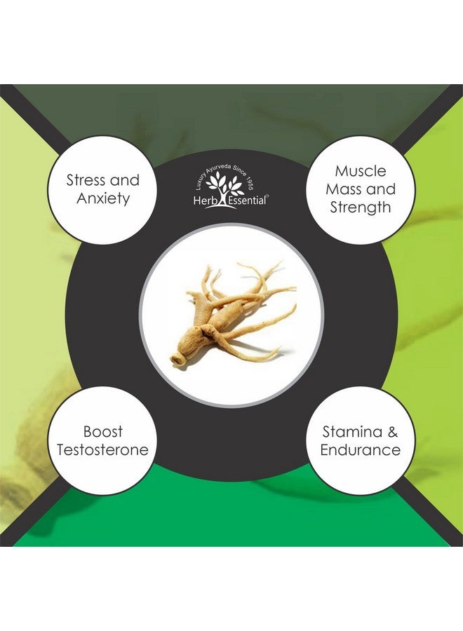Herb Essential مسحوق أشواغاندا الأساسي 50 جرام (عبوة من 5) - Image 3