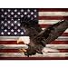 KTHOFCY 5D DIY American Flag Diamond Painting Kits for AdultsPatriotic Bald Eagle Flag Full Drill Embroidery Stitch Crystal Rhinestone Paintings Arts Wall Decor Painting Dots Kits 118X157 inch - Image 2