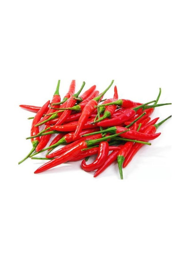 Red Chillies , 100g , Thailand