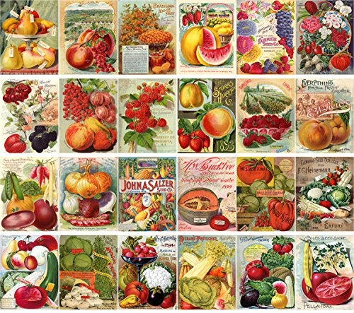 PIXILUV Vintage PostCards 24 pcs Veges and Fruits Vintage Seed Pockets Gardens - Image 2