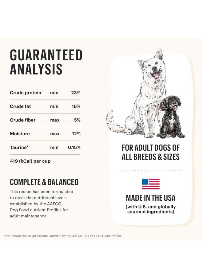 the honest kitchen - The Honest Kitchen Whole Food Clusters Small Breed Grain Free Beef Dry Dog Food, 4 lb Bag - Image 1