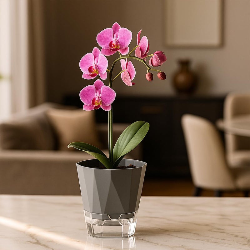 Planterhoma 5 Pack Self Watering Pots for Indoor Plants, 6.7 Inches Self Watering Planters African Violet Pots Clear Pots for Herb Orchid Flower Houseplant, Dark Grey - Image 2