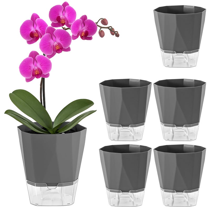 Planterhoma 5 Pack Self Watering Pots for Indoor Plants, 6.7 Inches Self Watering Planters African Violet Pots Clear Pots for Herb Orchid Flower Houseplant, Dark Grey - Image 1