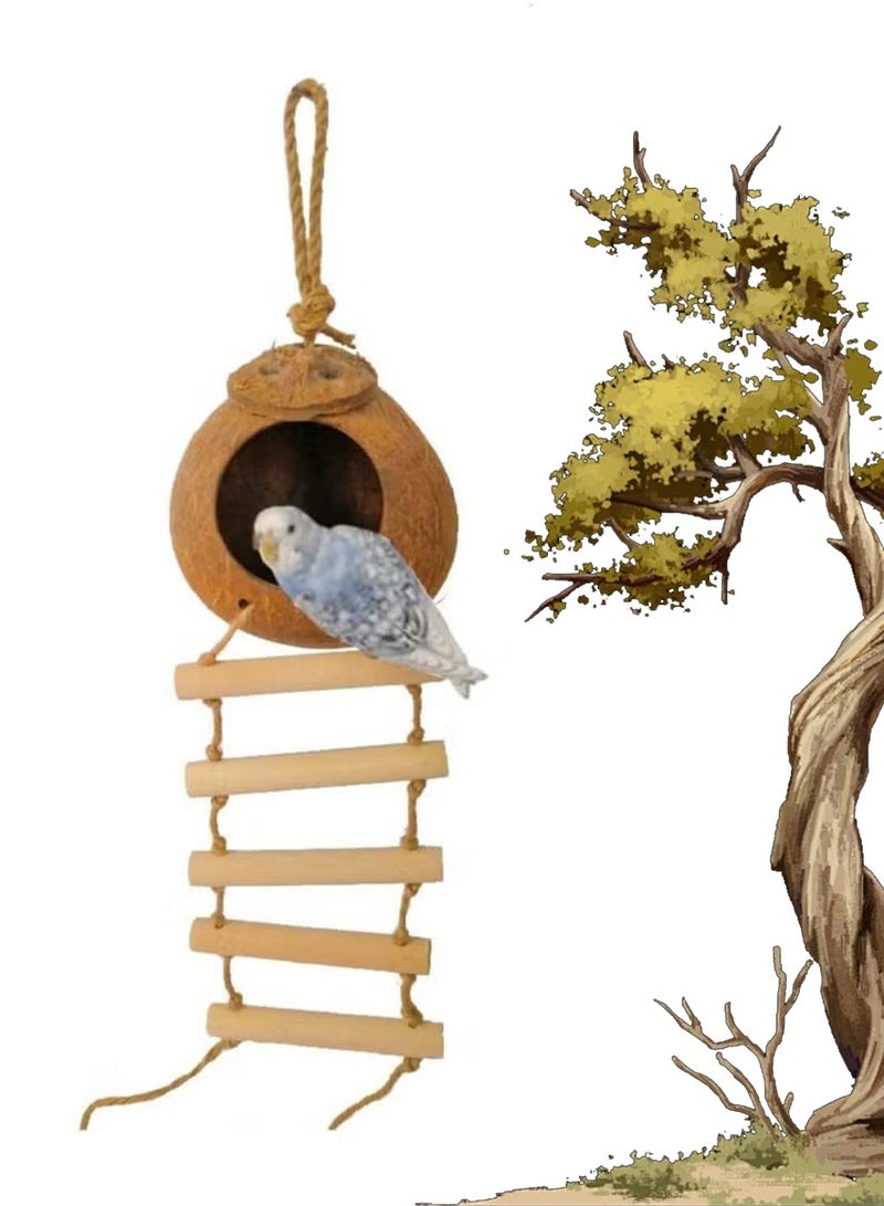 Dougez Hanging Bird House with Ladder,Natural Coconut Fiber Shell Bird Nest Breeding for Parrot Parakeet Lovebird Finch Canary,Coconut Hide Bird Swing Toys for Hamster,Bird Cage Accessories,Pet Bird Supplies - Image 1