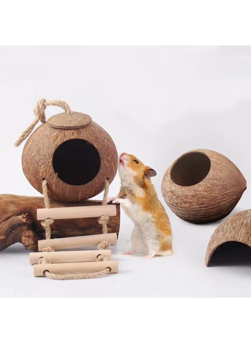 Dougez Hanging Bird House with Ladder,Natural Coconut Fiber Shell Bird Nest Breeding for Parrot Parakeet Lovebird Finch Canary,Coconut Hide Bird Swing Toys for Hamster,Bird Cage Accessories,Pet Bird Supplies - Image 4