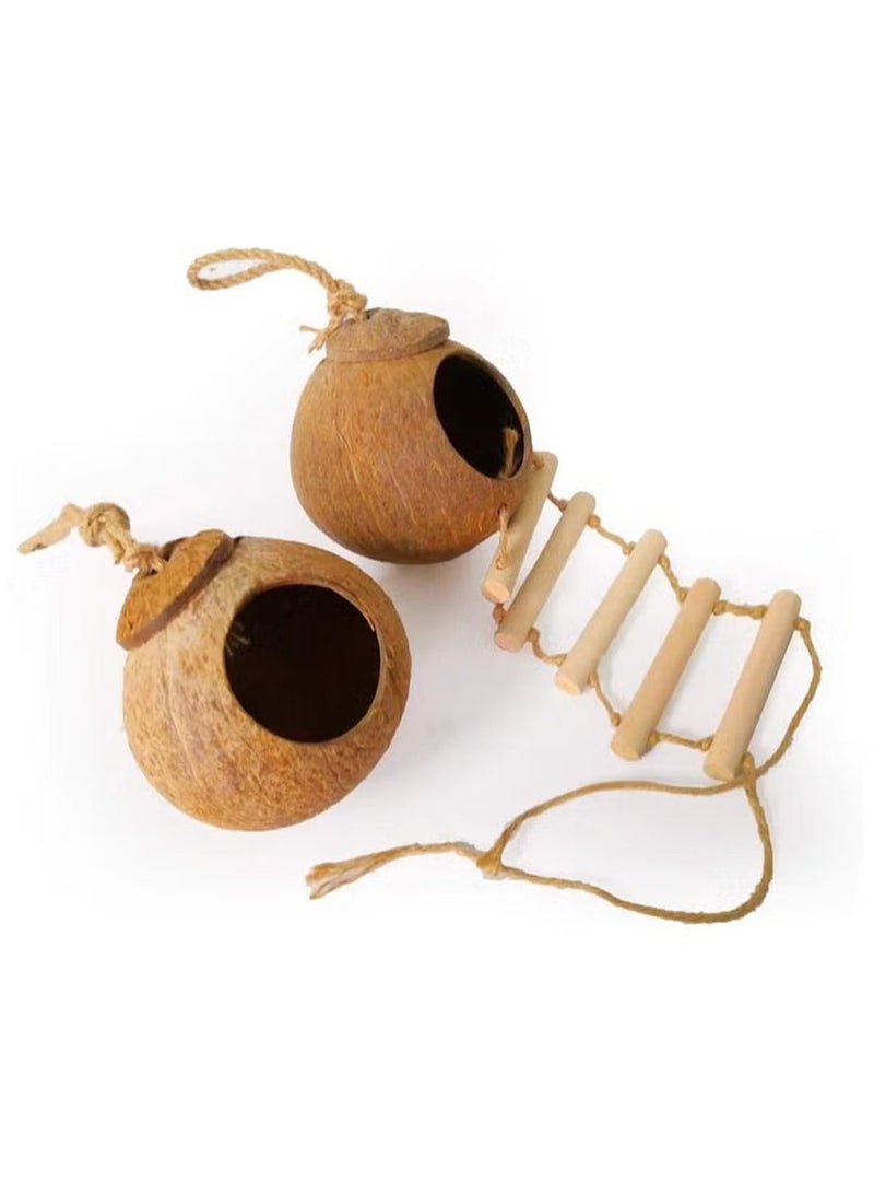 Dougez Hanging Bird House with Ladder,Natural Coconut Fiber Shell Bird Nest Breeding for Parrot Parakeet Lovebird Finch Canary,Coconut Hide Bird Swing Toys for Hamster,Bird Cage Accessories,Pet Bird Supplies - Image 3