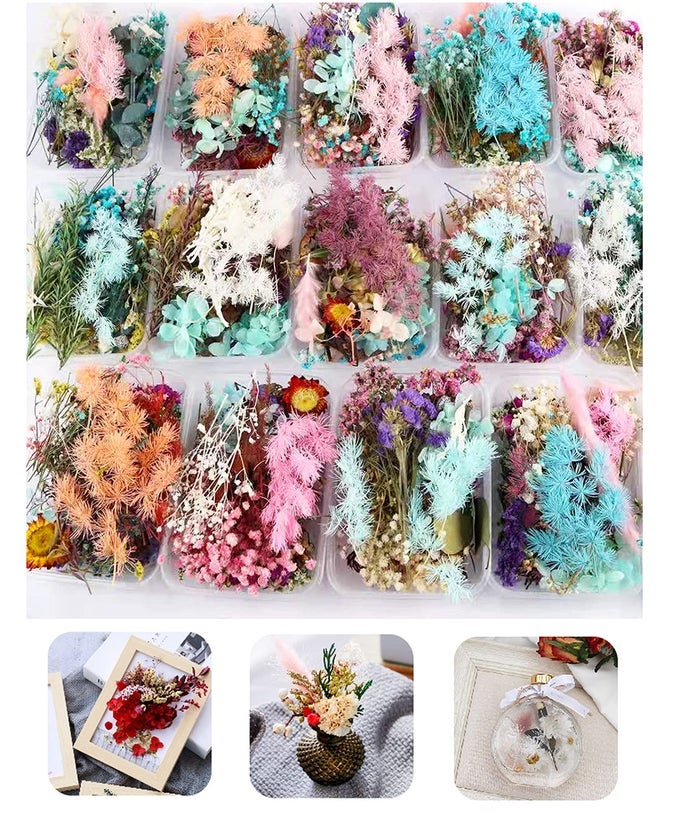 3 PACKS REAL NATURAL DRIED FLOWERS FOR MAKING MOBILE PHONE CASE CANDLE HANDMADE CRAFTS EPOXY RESIN PENDANT NECKLACE JEWELRY DIY ACCESSORIESMIXED MULTICOLOR DRIED FLOWERSRANDOM SHIPPING 3 PACKS