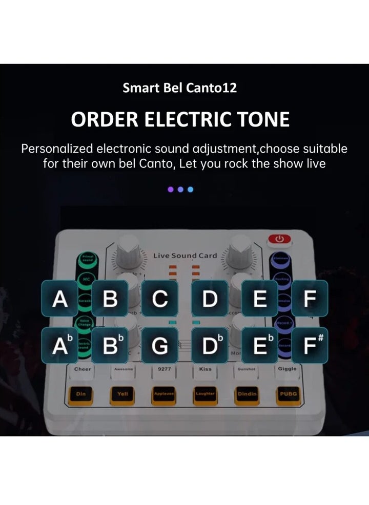 Generic Live Sound Card, Mini Audio Mixer Board for PC Computer Phone, Voice Changer Sound Card Fit for PS4, Xbox, Switch, DJ Mixer, Podcast for Music Recording Karaoke Singing Broadcast, Recording Card  - Image 5