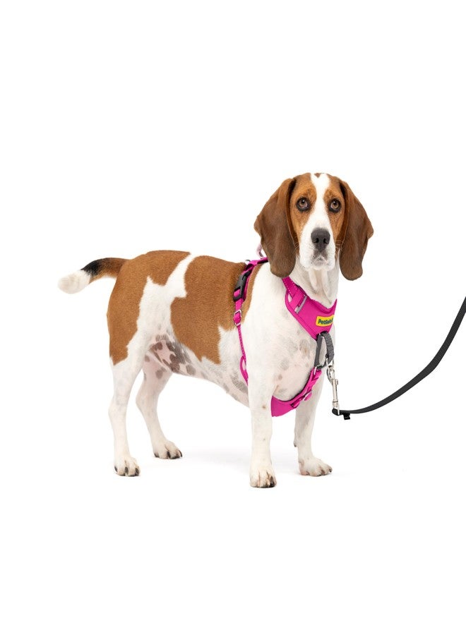 PetSafe Easy Walk Comfort No-Pull Dog Harness - Better Walk Training Harness - Full Body Padded Design - Durable Fabric - 5 Point Adjustable Fit - Everyday Leash Training - Pink - Small/Medium - Image 1