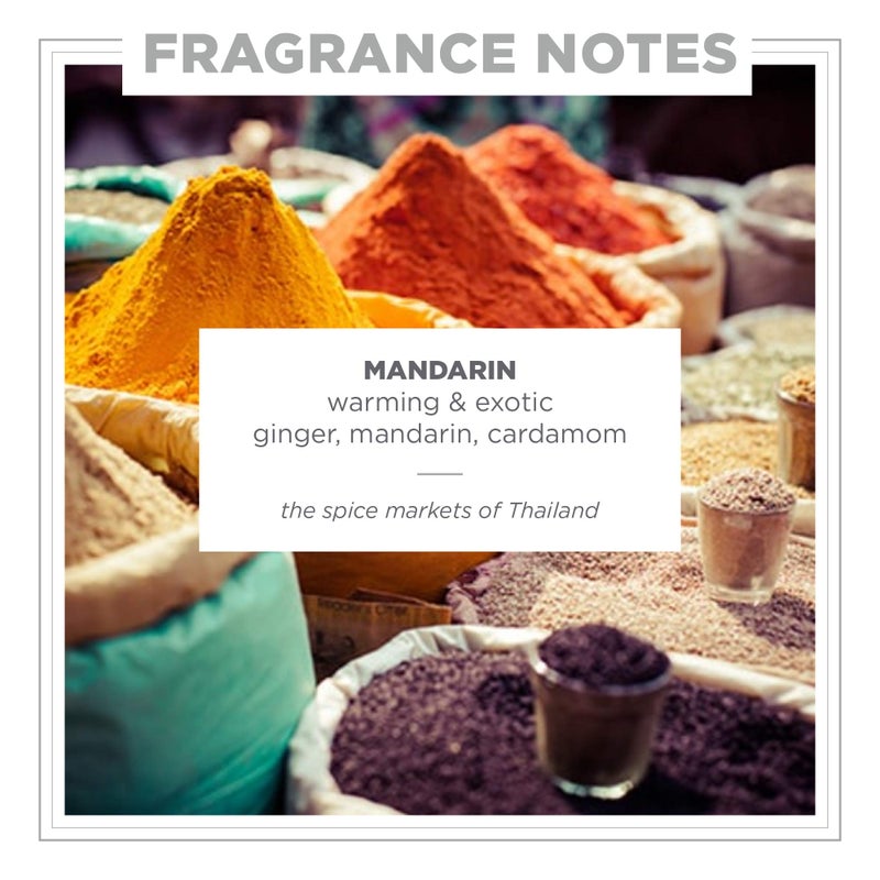 Zents Hand & Body Wash (Mandarin Fragrance) | Hydrating Anti-Aging Cleanser with Organic Shea Butter & Aloe for Dry Skin | Gentle & Nourishing | 10 fl oz - Image 2