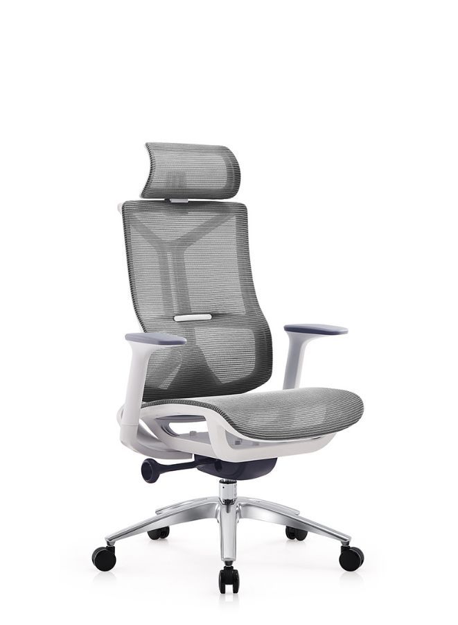 Fatio Modern Ergonomic Office Chair With Headrest And Aluminum Base for Office, Home Office and Shops, High Back, Grey - Image 1