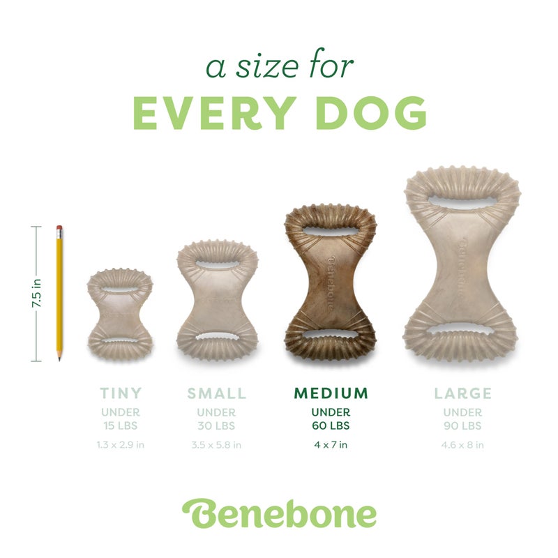 Benebone Dental Durable Dog Chew Toy for Aggressive Chewers, Real Bacon, Made in USA, Medium - Image 4