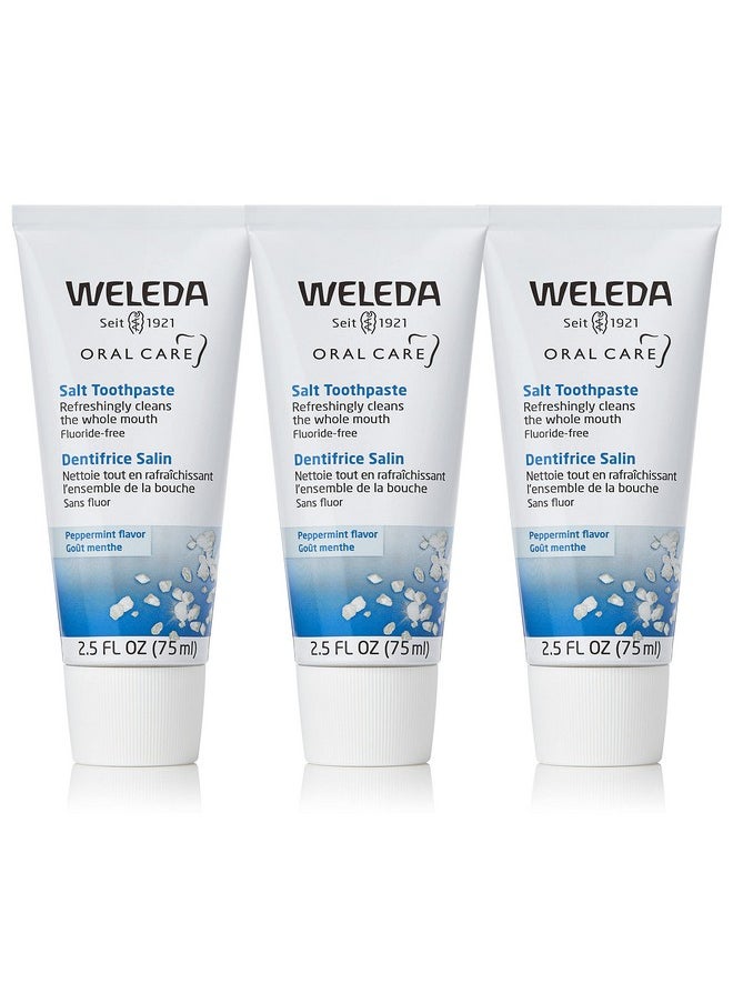 Weleda Natural Salt Toothpaste. 2.5 Fluid Ounce (Pack Of 3)  - Image 1
