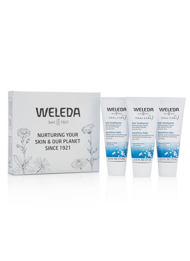Weleda Natural Salt Toothpaste. 2.5 Fluid Ounce (Pack Of 3)  - Image 2