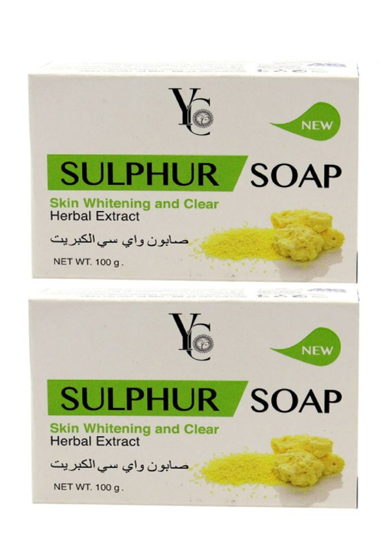 Two Pieces Of Sulphur Soap Skin Whitening And Clear Herbal Extract 2X100 Gm - pzsku/ZF6C83DCC6B348EC89A4CZ/45/_/1739149531/b4cfd8f1-8243-453e-a18c-e52a353a3c6c