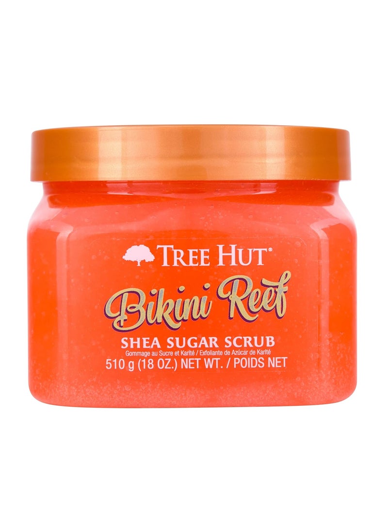 Tree Hut Tree Hut Bikini Reef Shea Sugar Scrub  Exfoliating Body Scrub Removes Dead Dry Skin for a Soft  Hydrated Feel  Nourishing Essential Body Care  18 fl oz 