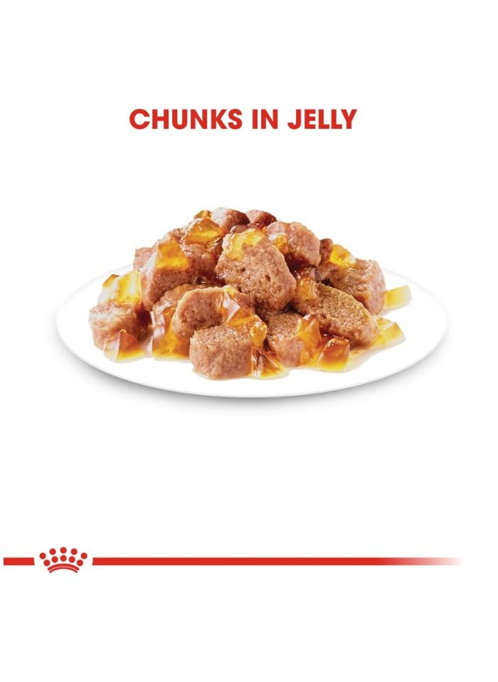 ROYAL CANIN Feline Health Nutrition Instinctive Adult Cats Jelly (WET FOOD - Pouches) 12 x 85g - Image 2