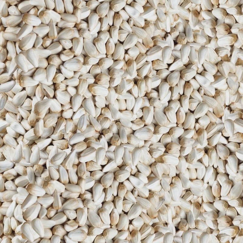 Happy Wings Safflower Seeds Wild Bird Food - 5 Pounds I No Grow Seed I Bird Seed for Wild Birds - Image 3