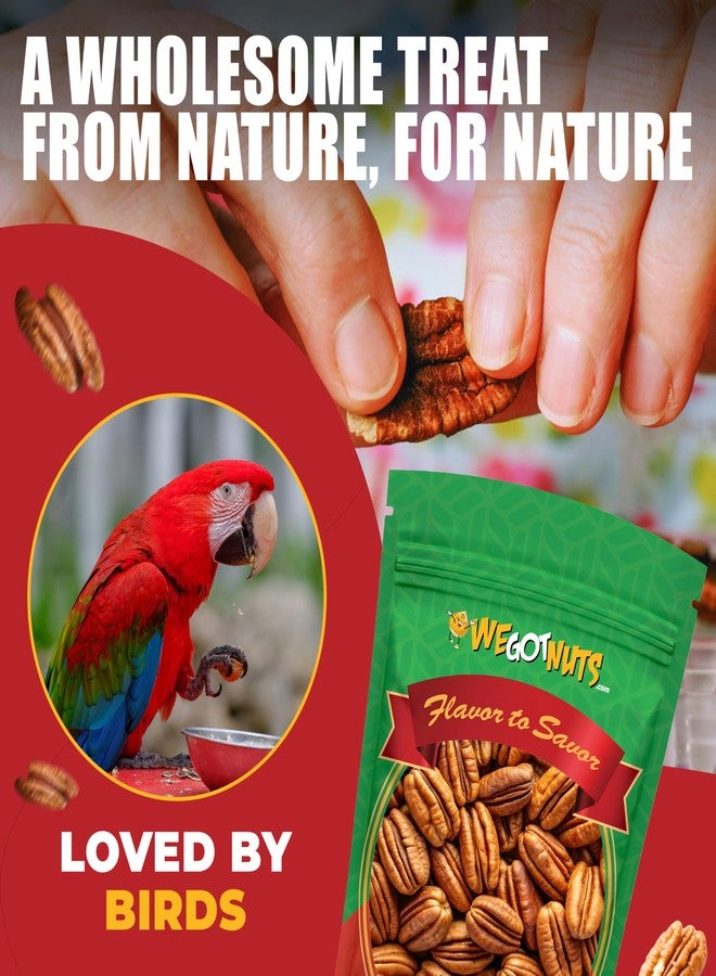 We Got Nuts Two Pounds Of Pecans Raw, Whole, Shelled, Raw, Natural, No Preservatives Added, Non-GMO, NO PPO, 100% Natural We Got Nuts - Image 5