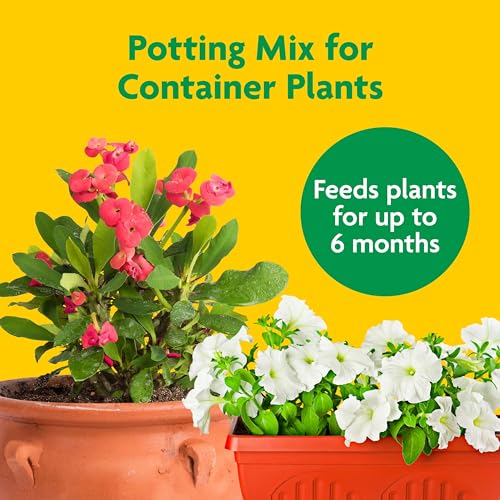 Miracle-Gro Potting Mix, For Container Plants, Flowers, Vegetables, Annuals, Perennials, Shrubs, Feeds for up to 6 Months, 16. qt., 2-Pack - Image 2