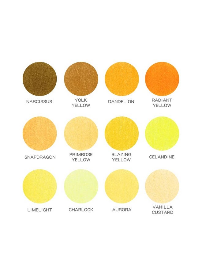 Qianshan qianshan 12 Yellow Colored Pencils Oil Based Pre-sharpened Wooden Colored Pencil Set for Adults Coloring Books Drawing Sketching Art Supplies, No Duplicates  - Image 2