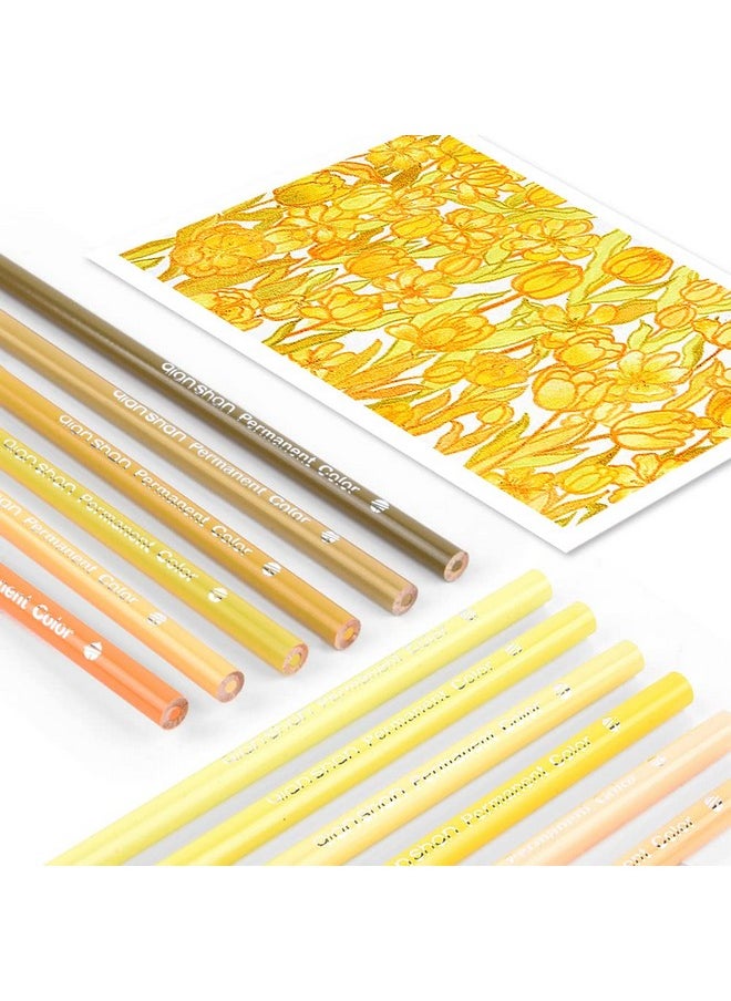 Qianshan qianshan 12 Yellow Colored Pencils Oil Based Pre-sharpened Wooden Colored Pencil Set for Adults Coloring Books Drawing Sketching Art Supplies, No Duplicates  - Image 5