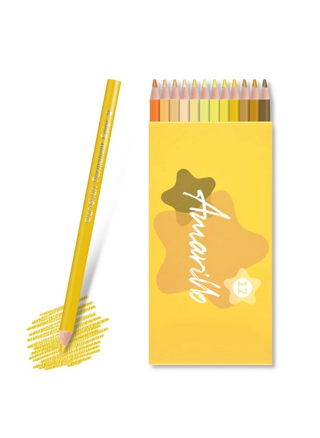 Qianshan qianshan 12 Yellow Colored Pencils Oil Based Pre-sharpened Wooden Colored Pencil Set for Adults Coloring Books Drawing Sketching Art Supplies, No Duplicates  - Image 3