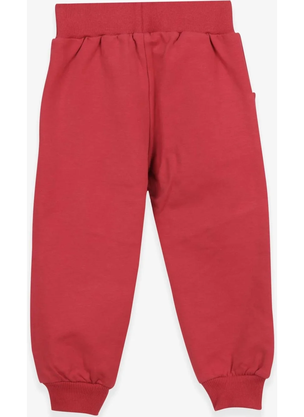 Breeze Boy's Sweatpants Knee Embroidered Tile (1.5-5 Years)
