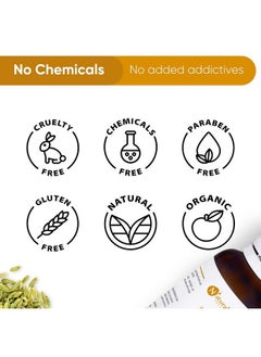 Naturalis Essence Of Nature Fennel Seed Essential Oil Natural & Therapeutic Grade For Skin Care Anti Aging Hair Growth 30Ml  - Image 5