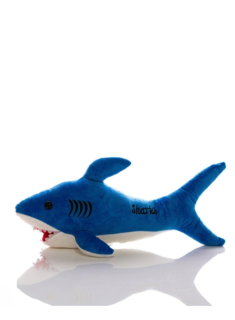 UNIVERSAL TOYS 12-Inch Blue Shark Plush – Soft, Durable & Cuddly Marine Life Toy | Perfect for Playtime, Learning & Ocean-Themed Rooms | Fun Shark Stuffed Animal for Kids | Ideal Gift for Sea LoversUNIVERSAL TOYS 12-Inch Blue Shark Plush – Soft, Durable & Cuddly Marine Life Toy | Perfect for Playtime, Learning & Ocean-Themed Rooms | Fun Shark Stuffed Animal for Kids | Ideal Gift for Sea Lovers  - Image 2