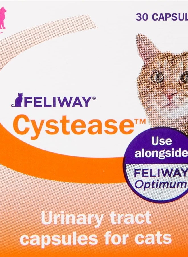 Feliway سيستيز متقدم لدعم المسالك البولية للقطط (حجم العبوة: 30 قرص) - Image 3