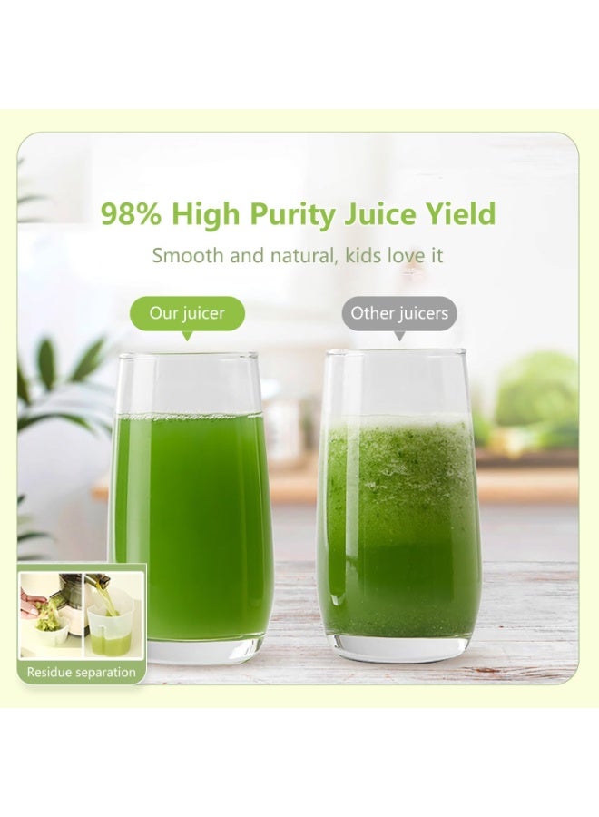 Camel SL-1 Slow Juicer, 300W Cold Press Juice Extractor, 1000 ml Capacity, Horizontal Masticating Juicer for Fruits and Vegetables, Quiet Motor, High Nutrient Retention, Easy to Clean, Ideal for Healthy Home Juice - Image 2