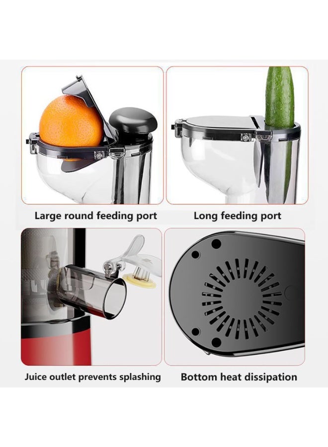 Camel SL-1 Slow Juicer, 300W Cold Press Juice Extractor, 1000 ml Capacity, Horizontal Masticating Juicer for Fruits and Vegetables, Quiet Motor, High Nutrient Retention, Easy to Clean, Ideal for Healthy Home Juice - Image 3