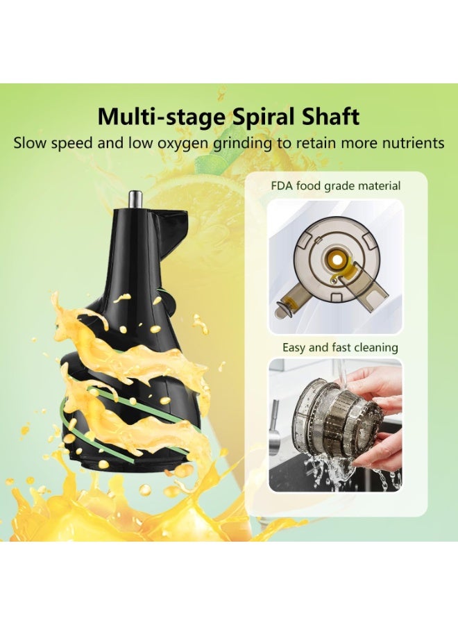 Camel SL-1 Slow Juicer, 300W Cold Press Juice Extractor, 1000 ml Capacity, Horizontal Masticating Juicer for Fruits and Vegetables, Quiet Motor, High Nutrient Retention, Easy to Clean, Ideal for Healthy Home Juice - Image 4