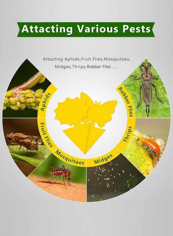 Flying Insect Glue StickerTrap, EcoFriendly Pest Control Solution, Indoor and Outdoor Plants Use Sticky Fly Paper Strips Effective Mosquito Gnats Fruit Fly Bug Catcher Safe Home Fly Trap Kit - Image 4