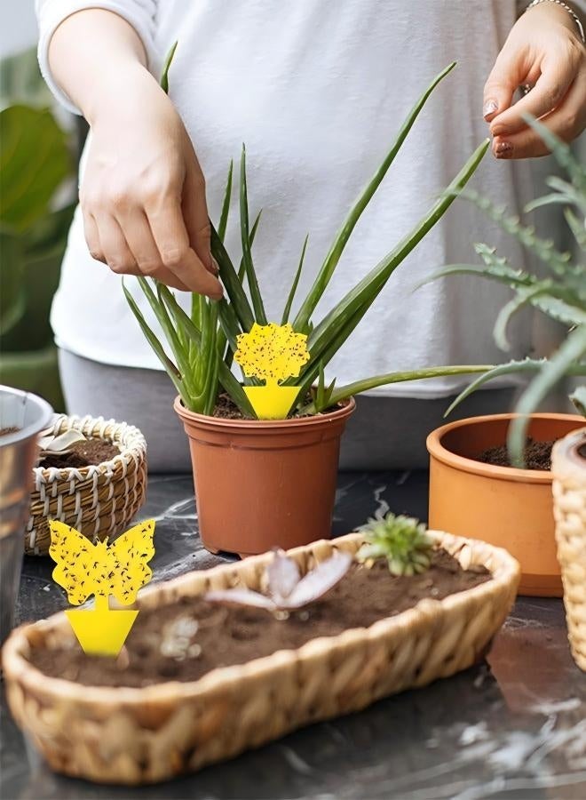 Flying Insect Glue StickerTrap, EcoFriendly Pest Control Solution, Indoor and Outdoor Plants Use Sticky Fly Paper Strips Effective Mosquito Gnats Fruit Fly Bug Catcher Safe Home Fly Trap Kit - Image 2