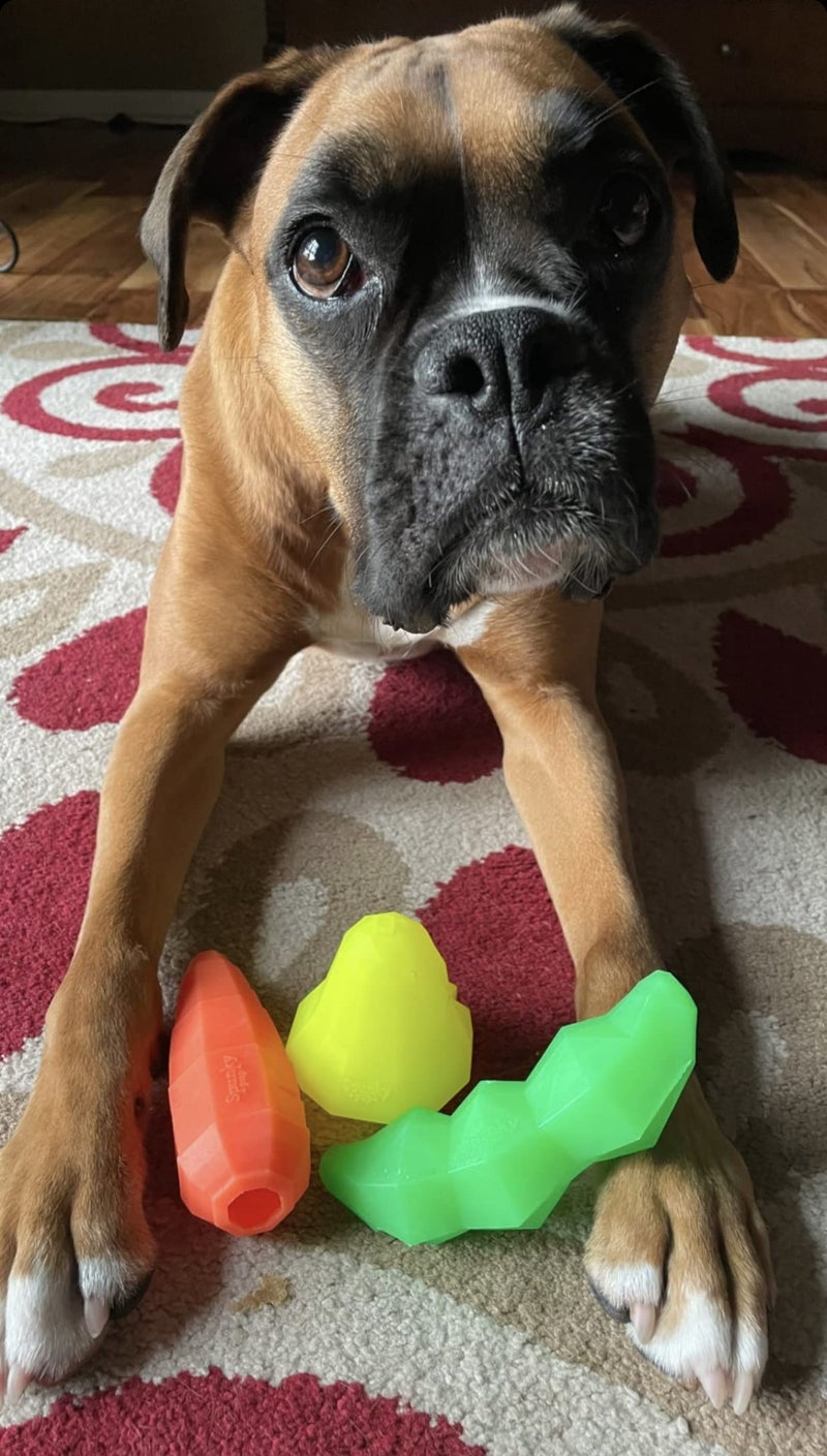Spunky Pup Holding Treat Play Dog Toy | Interactive Treat Toy for Dogs | Promotes Healthy Teeth & Gums | Green Bean - Image 4