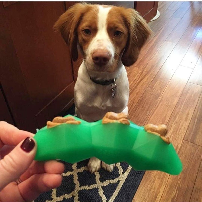 Spunky Pup Holding Treat Play Dog Toy | Interactive Treat Toy for Dogs | Promotes Healthy Teeth & Gums | Green Bean - Image 2