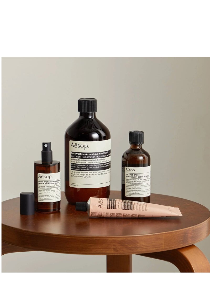 Aesop Home and Hand Offering - Image 2