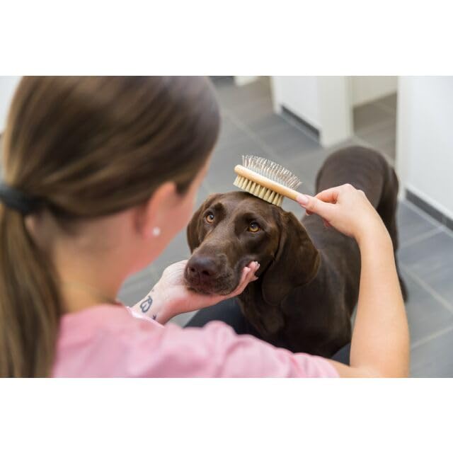 Trixie Double-Sided Dog Brush with Pins and Bristles, Massages and Removes Loose Hair from Your Dog's Coat - Image 5