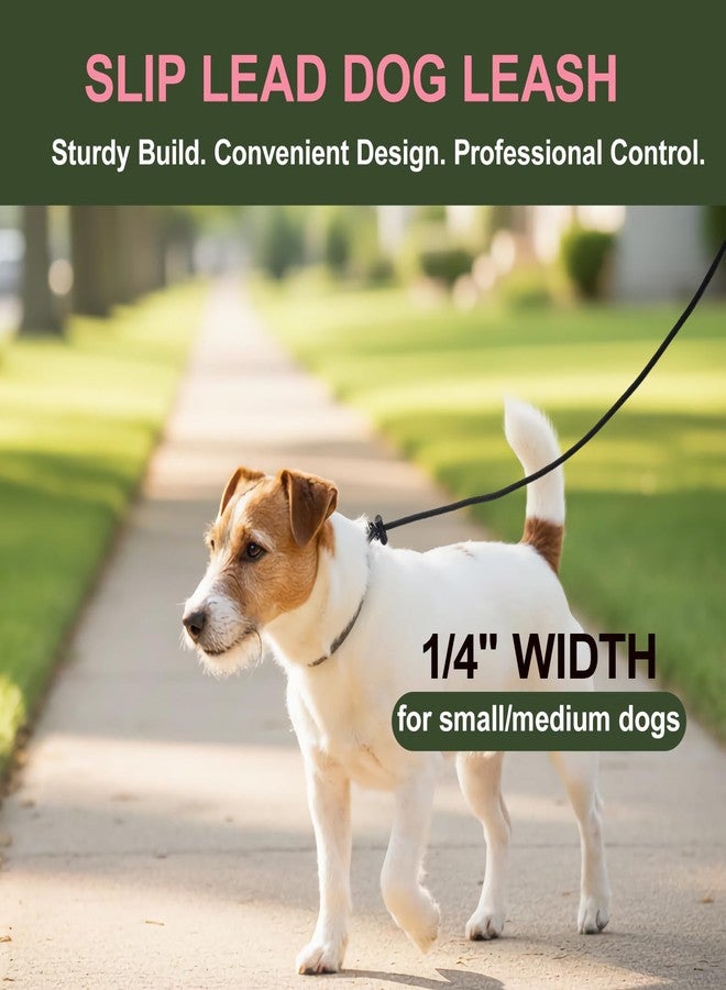 DISCPETSEC Slip Lead Dog Leash for Small & Medium Dogs, 1/4” x 4ft Sturdy Nylon Rope with Spring-Loaded Adjustable Stopper, Easy On/Off Training & Walking Slip Leash (Royal Blue, 4ft*1/4") - Image 5