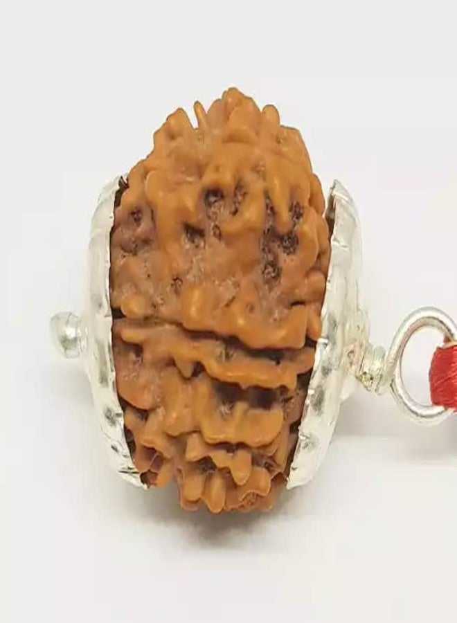 11 موكي رودراكشا نيبال مع غطاء فضي 11 وجه رودراكشا الأصلي معتمد من Igl Eleven Faced Rudraksha ग्यारह मुकी रुत्राक्ष Gyarah Mukhi Rudraksha للنساء 11 मुकी रुग्राक्ष من IRIS GEMS - Image 1