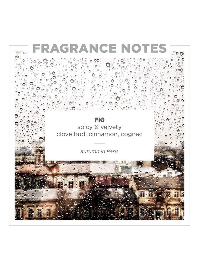 zents Luminous Cashmere Body Oil (Fig Fragrance) Soften And Moisturize Skin With Vitamin E And Organic Coconut Oil 8 Fl Oz - Image 4