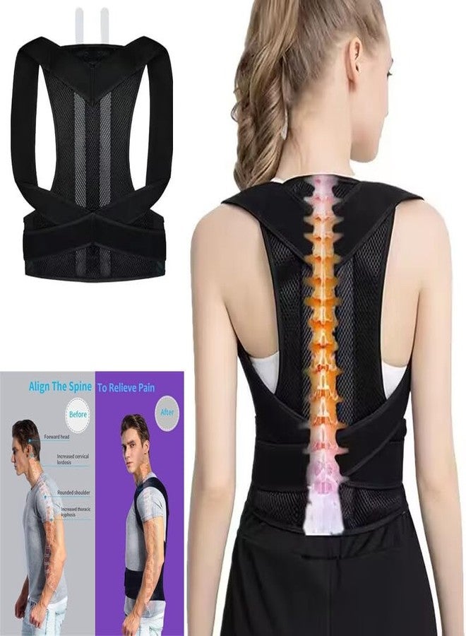 Angeer® Posture Correction Belt with Back & Abdomen Support for Men & Women Scoliosis & Shoulder Alignment - L - Image 5